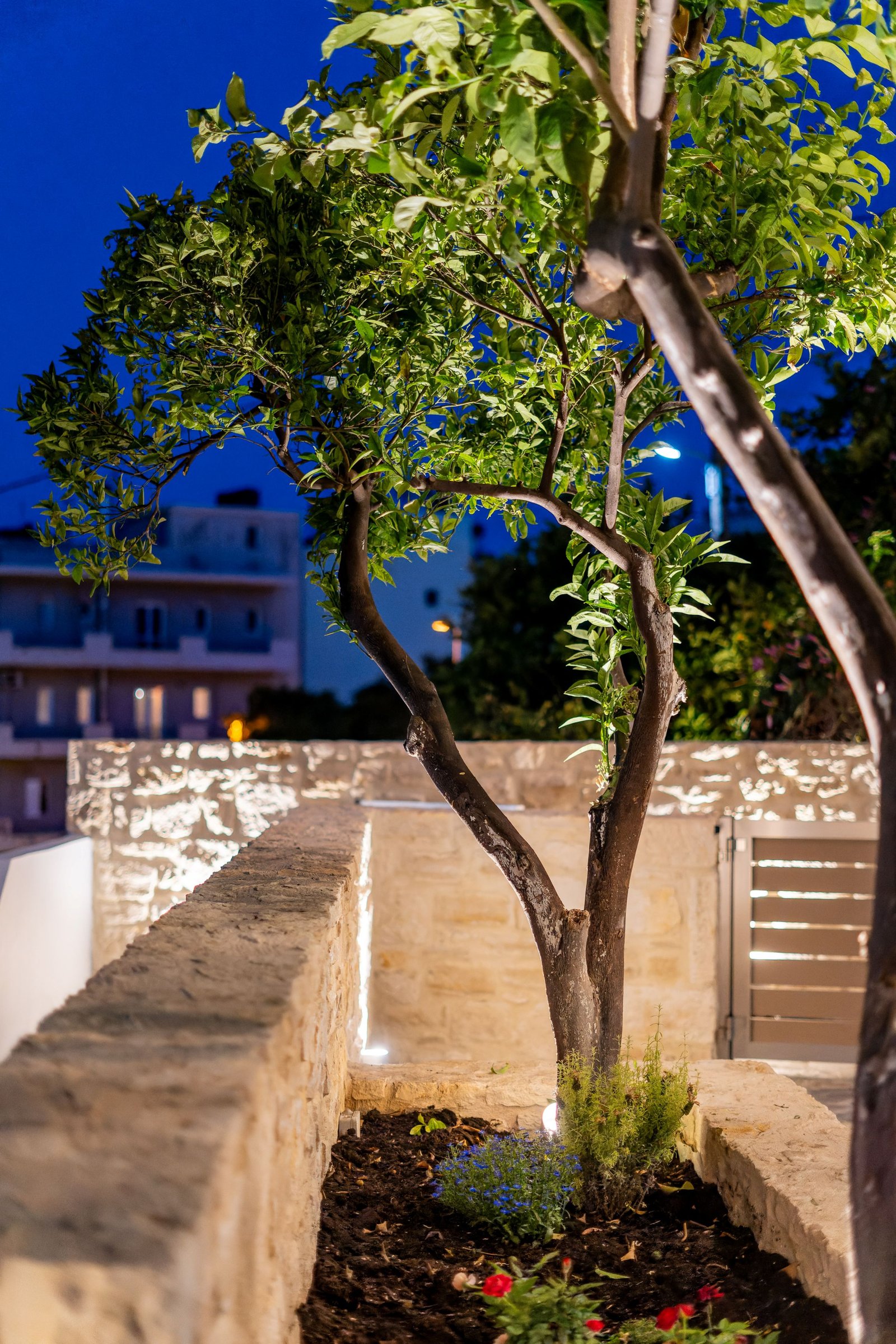 Night view - Photo 27